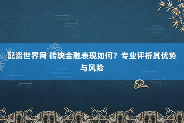 配资世界网 砖块金融表现如何？专业评析其优势与风险