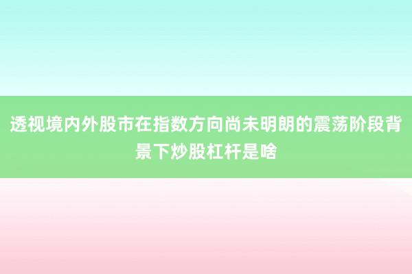 透视境内外股市在指数方向尚未明朗的震荡阶段背景下炒股杠杆是啥