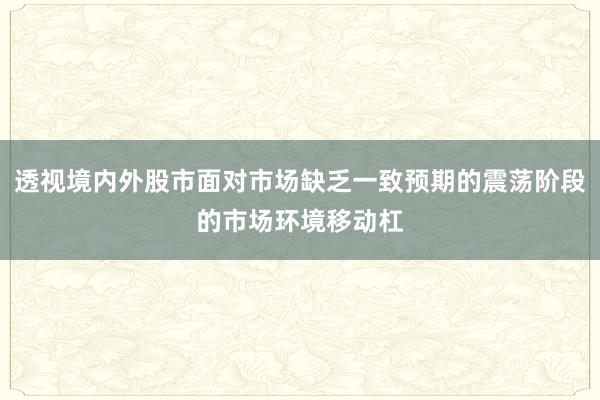 透视境内外股市面对市场缺乏一致预期的震荡阶段的市场环境移动杠